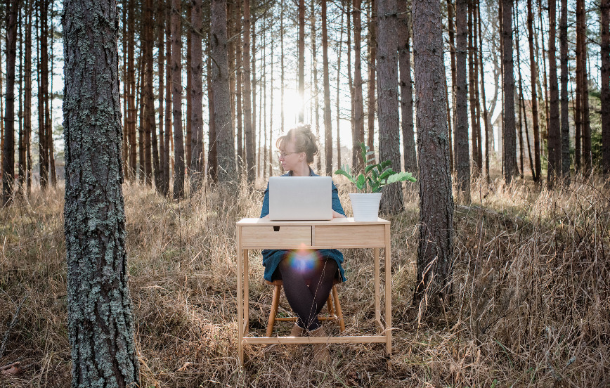 woman travelling working on a desk and laptop in a forest at sunset